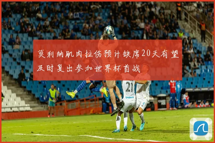莫利纳肌肉拉伤预计缺席20天有望及时复出参加世界杯首战